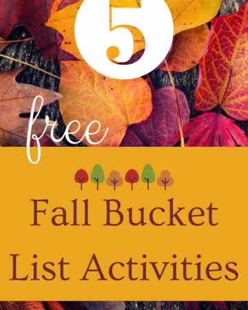 Pinnable image that says five free fall bucket list activities