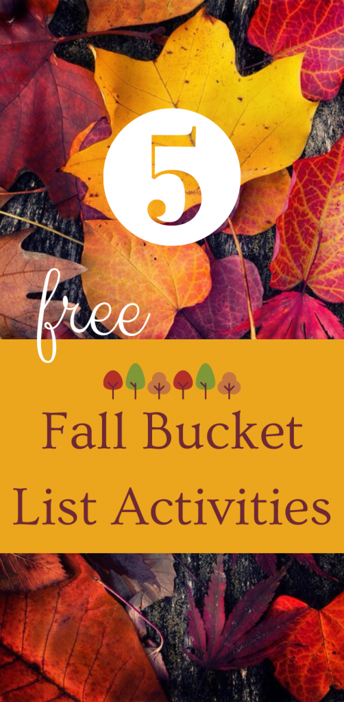Pinnable image that says five free fall bucket list activities