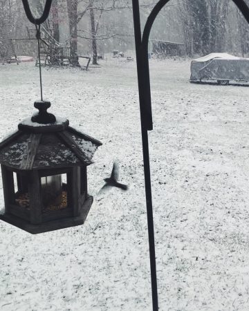 Photograph of a snowy outdoor scene with a bird feeder and a bird flying away.